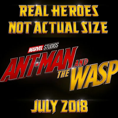 Ant Man & Wasp